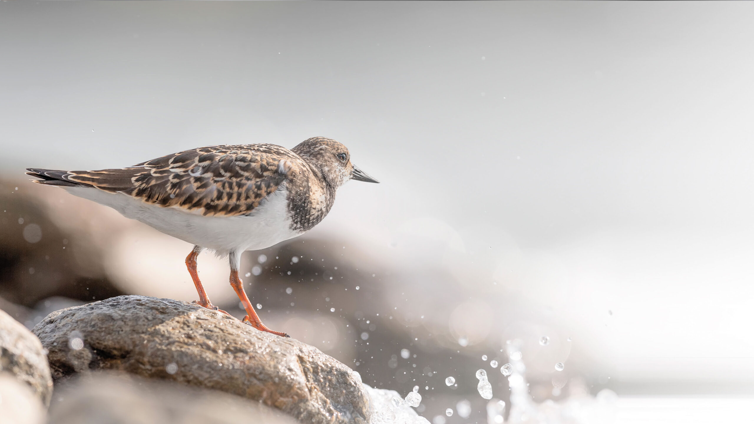 Launch of Turnstone Private Equity - Turnstone